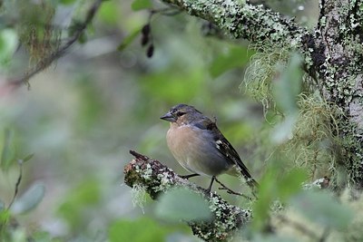 BUITEN BEELD Foto: 184781