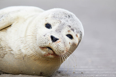 BUITEN BEELD Foto: 184848