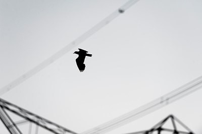 BUITEN BEELD Foto: 184858