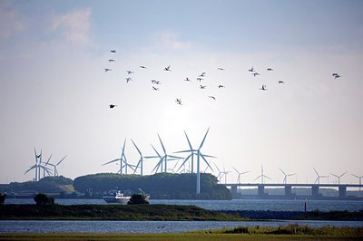 BUITEN BEELD Foto: 184871