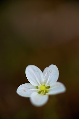 BUITEN BEELD Foto: 184895