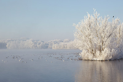 BUITEN BEELD Foto: 184933