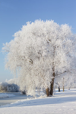 BUITEN BEELD Foto: 184934