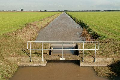 BUITEN BEELD Foto: 184943