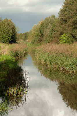 BUITEN BEELD Foto: 184961