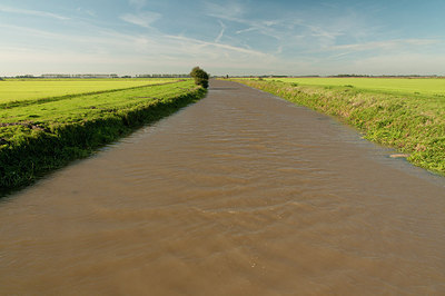 BUITEN BEELD Foto: 184968