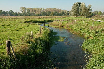 BUITEN BEELD Foto: 184981