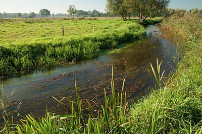 BUITEN BEELD Foto: 184983