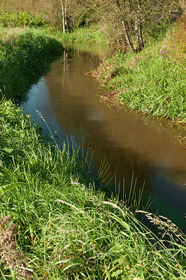 BUITEN BEELD Foto: 184985