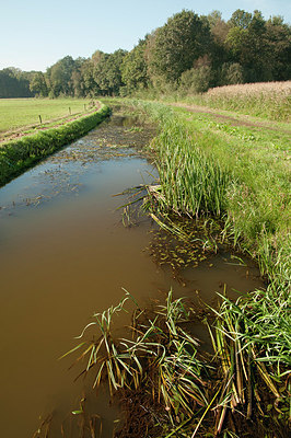 BUITEN BEELD Foto: 184989