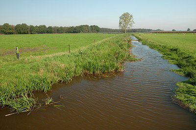 BUITEN BEELD Foto: 184990