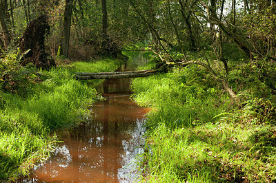 BUITEN BEELD Foto: 184992
