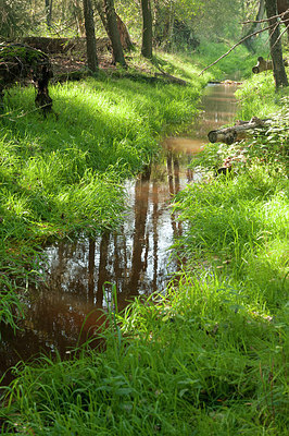 BUITEN BEELD Foto: 184993