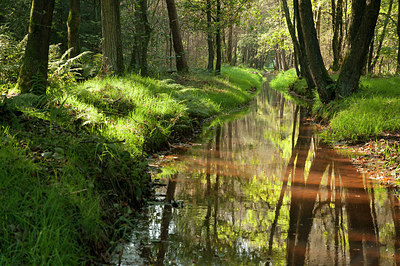 BUITEN BEELD Foto: 184994