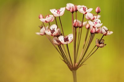 BUITEN BEELD Foto: 185006