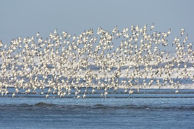 BUITEN BEELD Foto: 185007