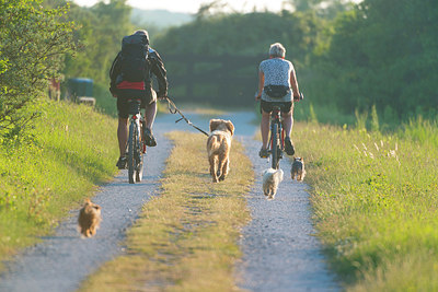 BUITEN BEELD Foto: 185053