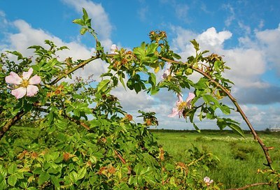 BUITEN BEELD Foto: 185076