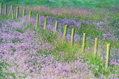 BUITEN BEELD Foto: 185077