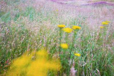 BUITEN BEELD Foto: 185082