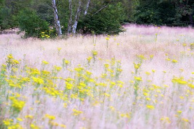 BUITEN BEELD Foto: 185084