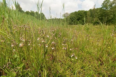 BUITEN BEELD Foto: 185096