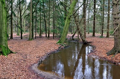 BUITEN BEELD Foto: 185166