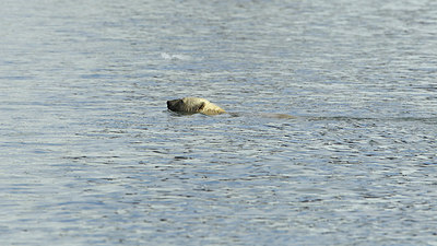 BUITEN BEELD Foto: 185256
