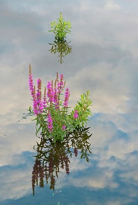 BUITEN BEELD Foto: 185340