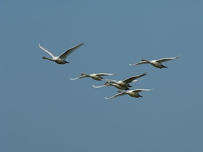 BUITEN BEELD Foto: 185440