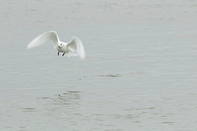 BUITEN BEELD Foto: 185444