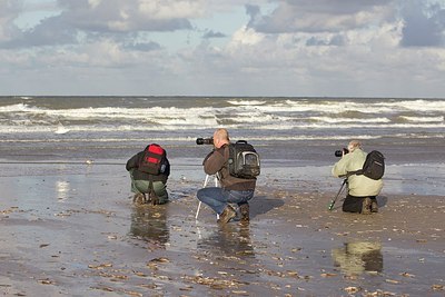 BUITEN BEELD Foto: 185448