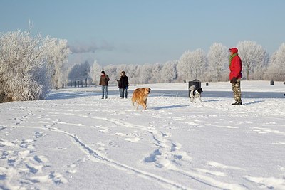 BUITEN BEELD Foto: 185451