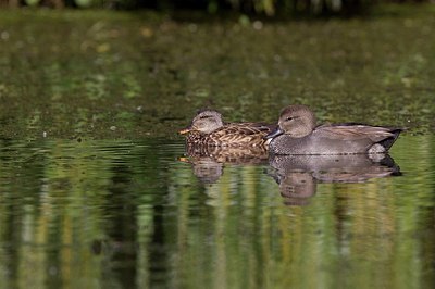 BUITEN BEELD Foto: 185456