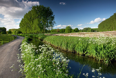 BUITEN BEELD Foto: 185578