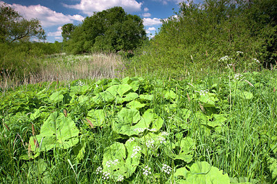 BUITEN BEELD Foto: 185579