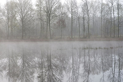BUITEN BEELD Foto: 185591