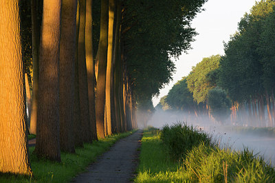 BUITEN BEELD Foto: 185597