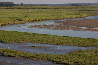 BUITEN BEELD Foto: 185599