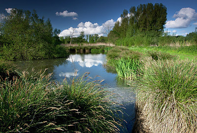 BUITEN BEELD Foto: 185602