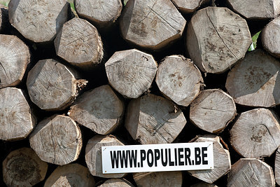 BUITEN BEELD Foto: 185647