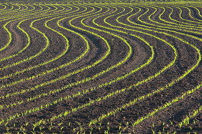 BUITEN BEELD Foto: 185663