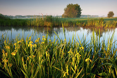 BUITEN BEELD Foto: 185667