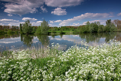 BUITEN BEELD Foto: 185680