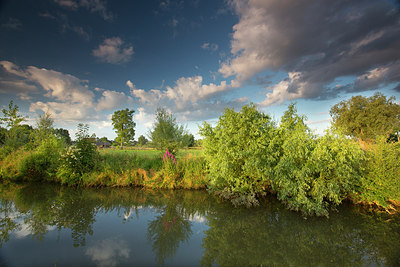 BUITEN BEELD Foto: 185687