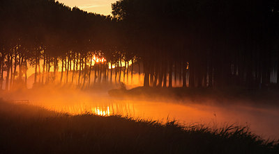 BUITEN BEELD Foto: 185688