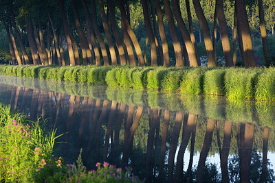 BUITEN BEELD Foto: 185689