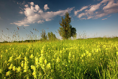 BUITEN BEELD Foto: 185727