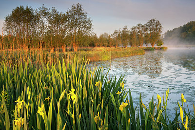 BUITEN BEELD Foto: 185738