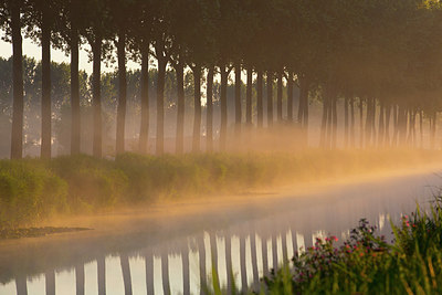 BUITEN BEELD Foto: 185750